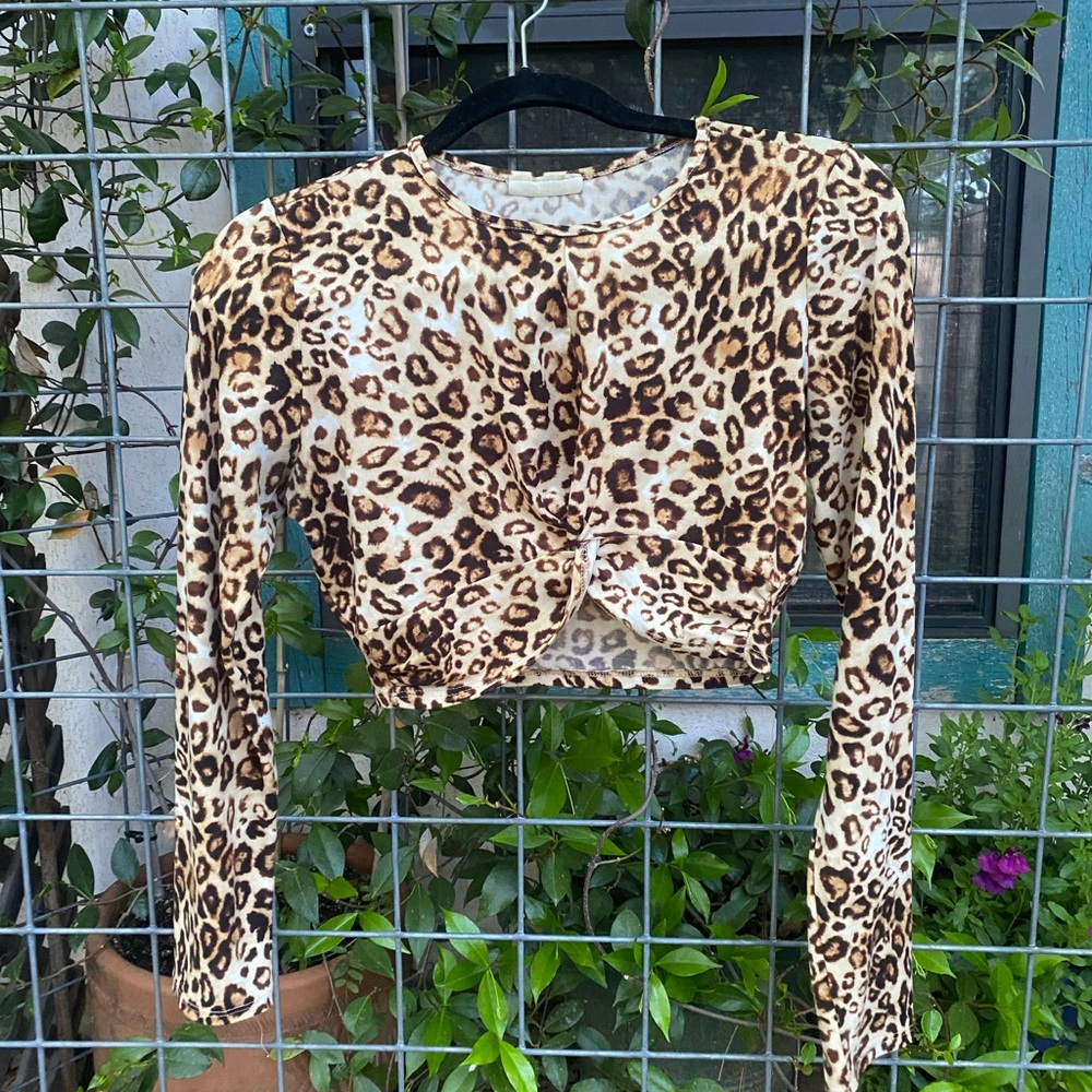 Leopard Print Crop Top